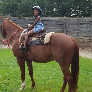 Meet your Posher, Debra